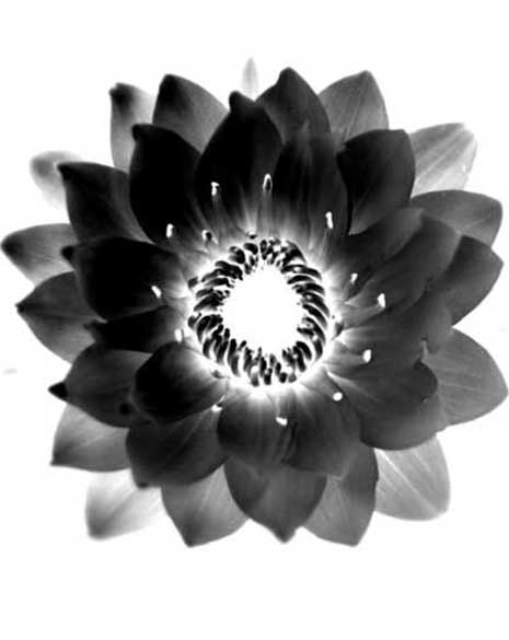 Teacher Image